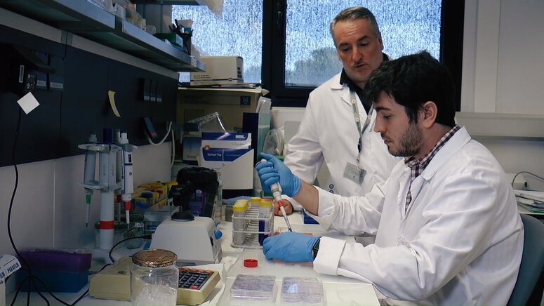 El IMIBIC desarrolla un nuevo biomarcador para el diagnóstico precoz del cáncer de próstata